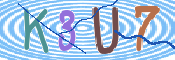 CAPTCHA 验证图片