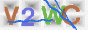 CAPTCHA 验证图片