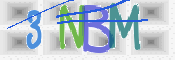 CAPTCHA 验证图片