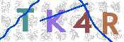 CAPTCHA 验证图片
