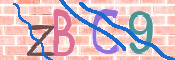 CAPTCHA 验证图片