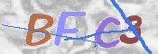 CAPTCHA 验证图片