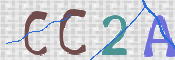 CAPTCHA 验证图片
