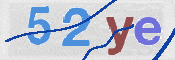 CAPTCHA 验证图片