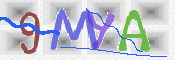 CAPTCHA 驗證圖片