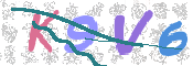 CAPTCHA 验证图片