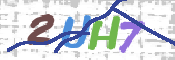 CAPTCHA 验证图片