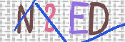 CAPTCHA 验证图片