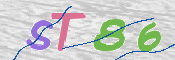 CAPTCHA 验证图片