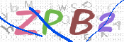 CAPTCHA 验证图片