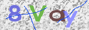 CAPTCHA 验证图片