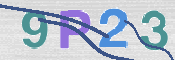 CAPTCHA 验证图片