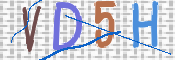 CAPTCHA 验证图片