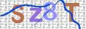 CAPTCHA 验证图片