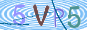 CAPTCHA 验证图片