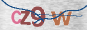 CAPTCHA 验证图片