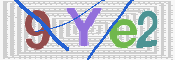 CAPTCHA 驗證圖片