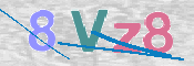 CAPTCHA 验证图片