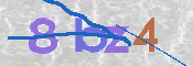 CAPTCHA 验证图片