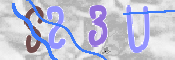 CAPTCHA 验证图片