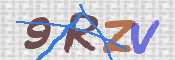 CAPTCHA 验证图片
