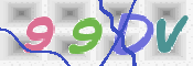 CAPTCHA 验证图片