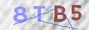 CAPTCHA 驗證圖片
