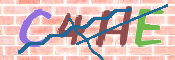 CAPTCHA 驗證圖片