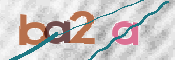 CAPTCHA 验证图片
