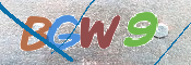 CAPTCHA 验证图片