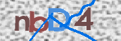 CAPTCHA 验证图片