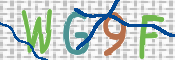 CAPTCHA 验证图片