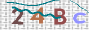 CAPTCHA 验证图片