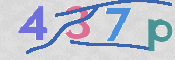 CAPTCHA 验证图片
