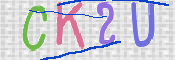 CAPTCHA 验证图片