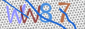 CAPTCHA 验证图片