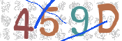 CAPTCHA 驗證圖片
