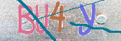CAPTCHA 验证图片