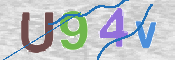 CAPTCHA 验证图片