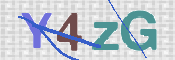 CAPTCHA 验证图片