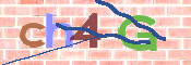 CAPTCHA 驗證圖片