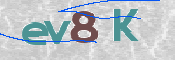 CAPTCHA 验证图片