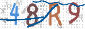 CAPTCHA 驗證圖片