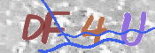 CAPTCHA 验证图片
