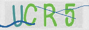 CAPTCHA 验证图片