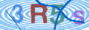 CAPTCHA 验证图片