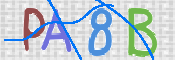 CAPTCHA 验证图片