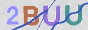 CAPTCHA 验证图片