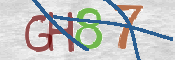 CAPTCHA 验证图片