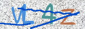 CAPTCHA 验证图片